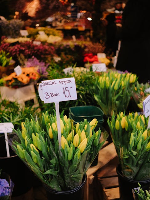 A display of fresh yellow tulips arranged in transparent plastic sleeves, placed in black buckets on a wooden surface at a flower market. The tulips are vibrant with closed buds and long green stems a