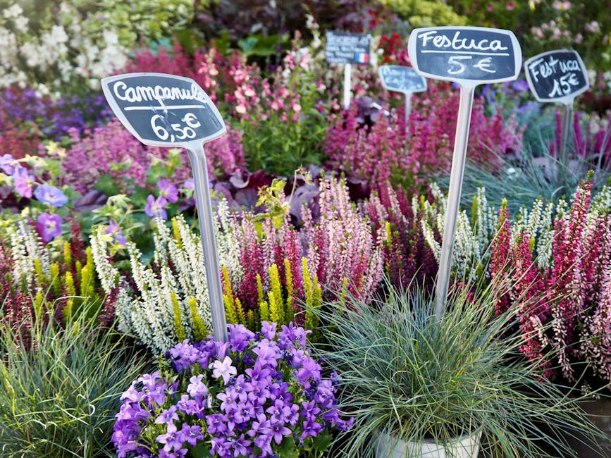 A vibrant display of garden flowers arranged in pots and clusters, featuring purple petunias, white and yellow heathers, and tall, spiky grasses. The flowers are freshly picked with rich, colorful blo